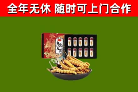 周口烟酒回收冬虫夏草礼盒.jpg